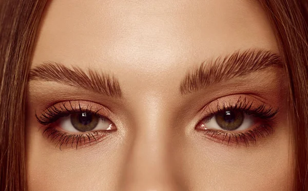 Sensual look. Close up of beautiful brown female eyes. Perfect trendy eyebrow. Concept of vision, contact lenses, trendy eyebrow makeup concept.