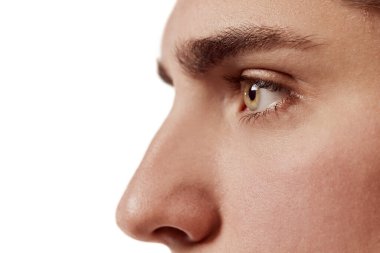 Beyaz arka planda izole edilmiş genç bir adamın yan görünüş portresi. Burun, gözler. Estetik ameliyat. Erkek güzelliği, sağlık, cilt bakımı, kozmetoloji, spa, vücut bakımı kavramı. İlan için alanı kopyala