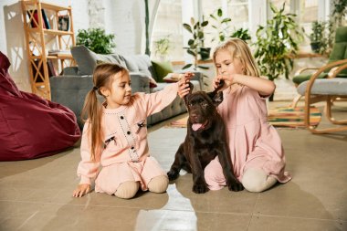İki sevimli küçük kız, safkan köpekle oynayan çocuklar, evde kahverengi labrador. Eğleniyorum. Neşeli evcil hayvan. Aile kavramı, çocukluk, evcil hayvanlar, bakım, arkadaşlık, duygular. Boş zaman