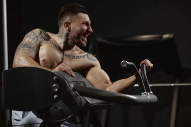 Powerful. Portrait of young muscular man training shirtless in gym indoors. Hand exercises. Workout. Concept of health, sportive lifestyle, fitness, body care, diet, strength