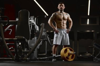 Portrait of young muscular man posing shirtless in gym indoors with barbell equipment. Relief body shape. Concept of health, sportive lifestyle, fitness, body care, diet, strength