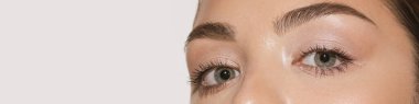 Cropped image of female face, eyes over grey background. Natural makeup look. Brows lamination. Concept of cosmetology, cosmetics, plastic surgery, natural beauty. Banner, flyer. Copy space for ad