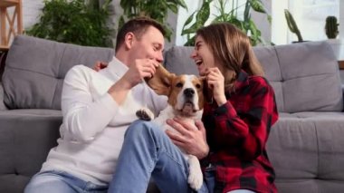 Happy young couple playing and relaxing with pet dog beagle at home. Portrait of caucasian man and woman in love feeding cute beagle and sitting together. Friendship, domestic animal, pets concept