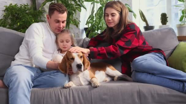 Happy Family Cuddling Dog Beagle Having Fun Together Living Room — Stockvideo