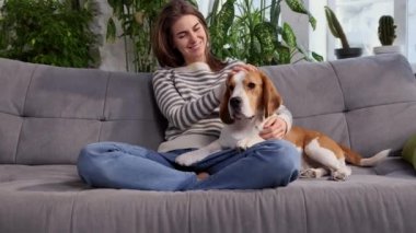 Cinematic shot of young happy smiling woman playing with her lovely dog beagle while having fun together on sofa in living room at home. Friendship, love, domestic animal, pets concept