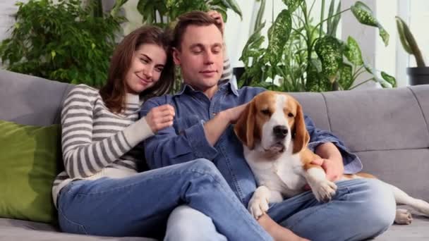 Happy Young Couple Playing Relaxing Pet Dog Beagle Home Portrait — Stockvideo