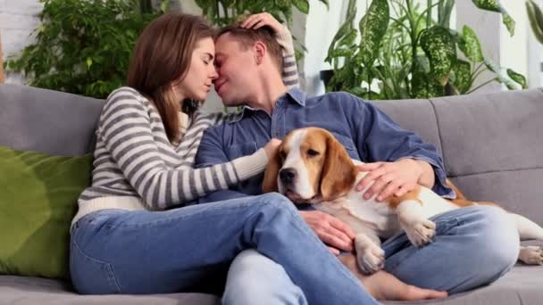 Happy Young Couple Playing Relaxing Pet Dog Beagle Home Portrait — Stockvideo