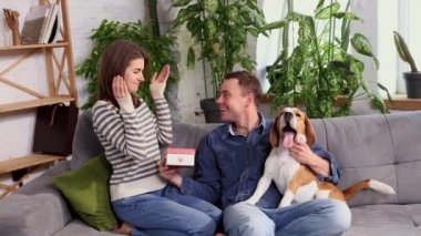 A young man surprises a woman with a gift box. An attractive male surprises female partner with a valentines day present. Happy couple enjoying a romantic date at evening together with their dog