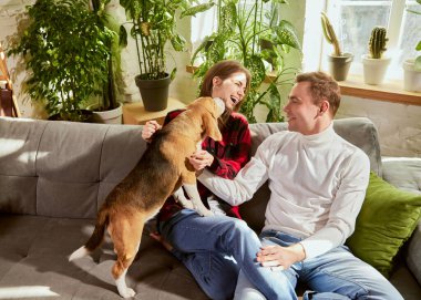 Happy family, man and woman cuddling their dog beagle, having fun together in living room. Young couple sitting on the sofa at home, relaxing. Concept of relationship, family, animal life