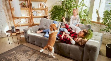Lovely cute family, parents and child relaxing at home, playing with beagle dog in their living room on sunny day. Weekends. Concept of relationship, family, parenthood, childhood, animal life