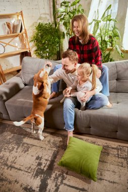 Feeding dog. Beautiful young family, couple, parents playing with dog, beagle in living room. Having fun at home. Concept of relationship, family, parenthood, childhood, animal life