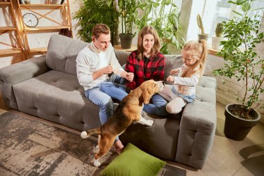 Portrait of beautiful young man and woman, playing with child and don at home on sofa. Cozy sunny family day. Concept of relationship, family, parenthood, childhood, animal life