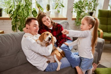 Portrait of beautiful young man and woman, playing with child and don at home on sofa. Happiness, positive vibes and love. Concept of relationship, family, parenthood, childhood, animal life