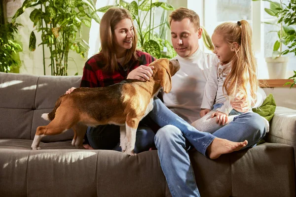 stock image Lovely young family, mother, father and daughter sitting on sofa, playing with dog in living roon on sunny day at home. Concept of relationship, family, parenthood, childhood, animal life