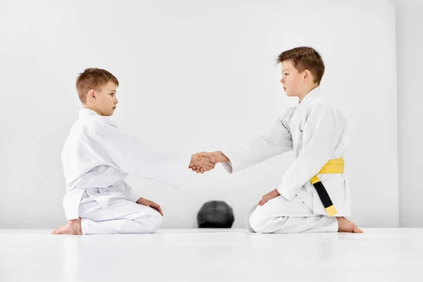 Shaking hands after fight. Boys, children in white kimono, future judo, jiu-jitsu athletes on training session. Concept of martial arts, combat sport, sport education, childhood, hobby