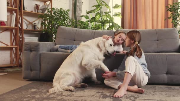Two Cute Beautiful Little Girls Children Playing Golden Retriever Dog — Vídeos de Stock