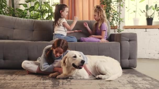 Little Girls Children Playing Sofa Hugging Cute Dog Golden Retriever — Wideo stockowe
