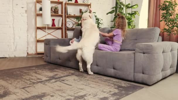 Two Lovely Little Girls Children Sitting Couch Playing Purebred Dog — Vídeos de Stock