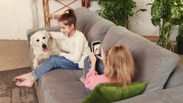 Две Маленькие Девочки Дети Играют Диване Чистокровной Собакой Золотистый Ретривер — стоковое видео