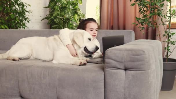 Спокійна Мила Дівчинка Дитина Лежить Дивані Чистою Красивою Золотою Собакою — стокове відео