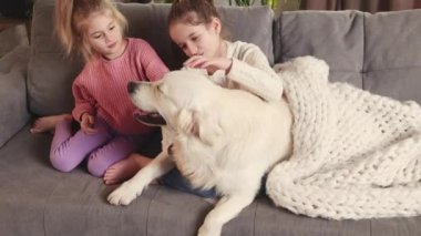 Two cute little girls, children sitting on sofa and playing with calm purebred golden retriever dog in living room. Concept of family, childhood, pets, care, friendship, emotions. leisure