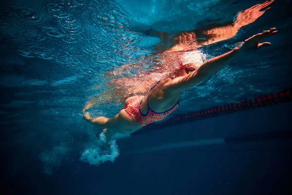 Muscular Athlete Competitive Woman Professional Female Swimmer Training Swimming Pool —  Fotos de Stock