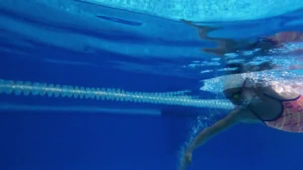 Dinamica Giovane Donna Sportiva Nuotatrice Professionista Piscina Coperta Indossare Cappellino — Video Stock