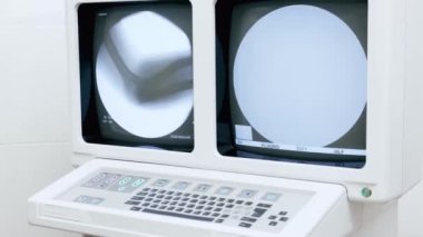 Modern florografiyi kullanarak muayene etmek veteriner kliniğindeki kemik ve iç organları kontrol etmek. Sağlığıma dikkat ediyorum. Veterinerlik, hayvan, sağlık, bakım, tedavi, meslek, teknoloji kavramı