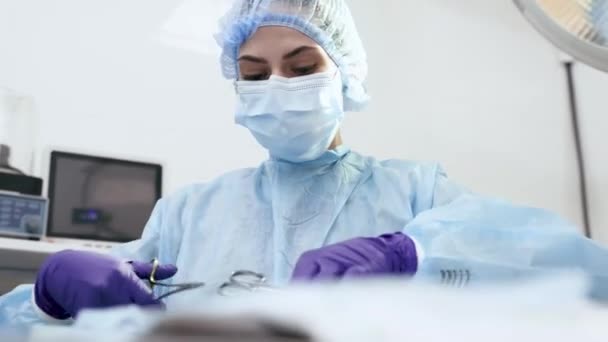 Cirujano Femenino Veterinario Lidera Operación Con Ayuda Del Asistente Cuidando — Vídeos de Stock