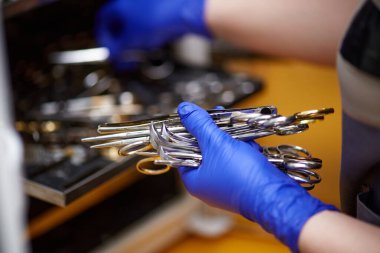 Kadın elleri, veteriner ameliyatları ve inceleme aletleri veteriner veteriner kliniğindeki sterilizatörün aletleri. Dezenfekte. Tıp kavramı, veterinerlik, hayvan bakımı, sağlık, meslek