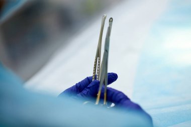 Doktorlar, cerrahlar, profesyonel tıbbi aletleri tutan eller. Koruyucu eldiven ve önlük giyen bir doktor. Mavi renk. Tıp kavramı, veterinerlik, hayvan bakımı, sağlık, meslek