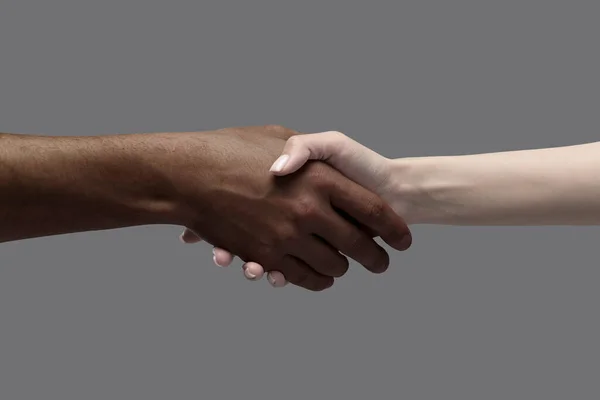 Male and female hands holding, gesturing over grey background. African man and caucasian woman. Unity of races, acceptance. Concept of human relation, community, togetherness, symbolism, culture