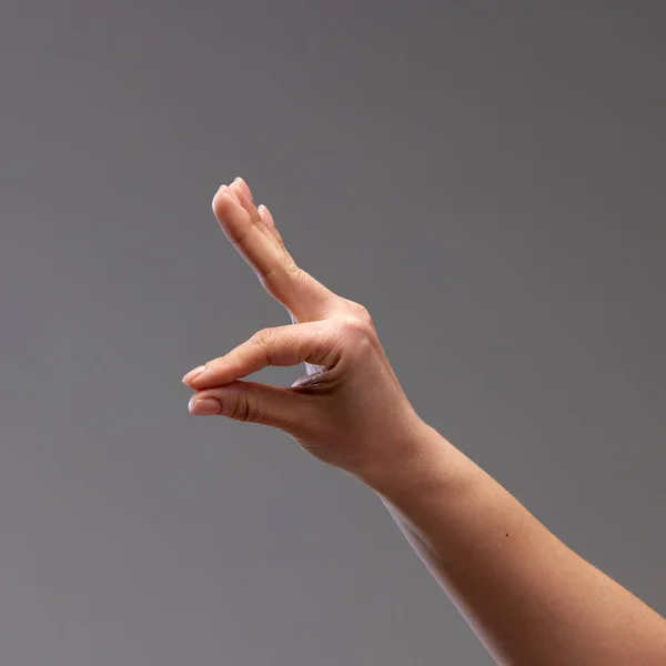 Female hand showing gesture against grey background. Playing with gestures, making figures with fingers. Concept of human relation, community, symbolism, culture, communication