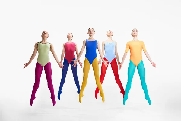 Hassas Genç Kızlar Renkli Balerinler Parlak Taytlar Gri Stüdyo Arka — Stok fotoğraf