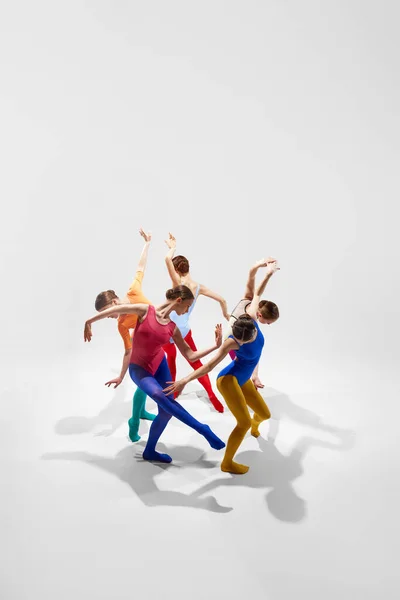 Вид Сверху Творческие Талантливые Молодые Девушки Балерины Красочных Ярких Колготках — стоковое фото