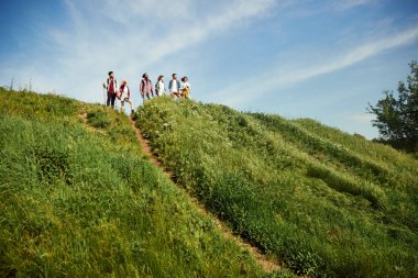 Bir grup arkadaş sıcak, güneşli yaz gününde çayırda yürüyüş yapıyor. Tepede duran gençler, doğanın ve manzaranın tadını çıkarıyorlar. Aktif yaşam tarzı kavramı, doğa, spor ve hobi, arkadaşlık