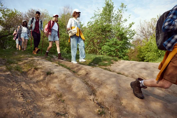 男性と女性のグループは 暖かい夏の日に森の中を歩いてハイキングに行く 活動的な週末活動 アクティブなライフスタイル スポーツ 友情の概念 — ストック写真