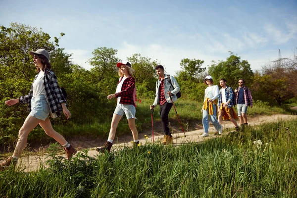 年轻人 一群朋友走在森林里的小径上 在温暖的夏日远足 旅游和闲暇时间 积极生活方式 运动和业余爱好 乐趣的概念 — 图库照片
