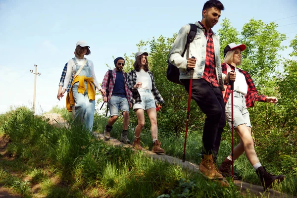 陽気な若者 男性と女性のスタイリッシュな快適な服で ハイキングに行く 暖かい夏の日に森の中を歩く アクティブなライフスタイル スポーツ 友情の概念 — ストック写真