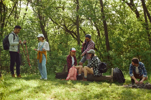 一群年轻人 朋友们去爬山 在森林里散步 坐在草地上 在温暖的春天野餐 积极生活方式 运动和业余爱好 友谊的概念 — 图库照片