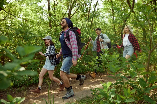 アクティブ スポーツの若者 暖かい春の日に森の中でハイキングに行く友人は パス上を歩くと 風景を楽しむ アクティブなライフスタイル スポーツ 友情の概念 — ストック写真
