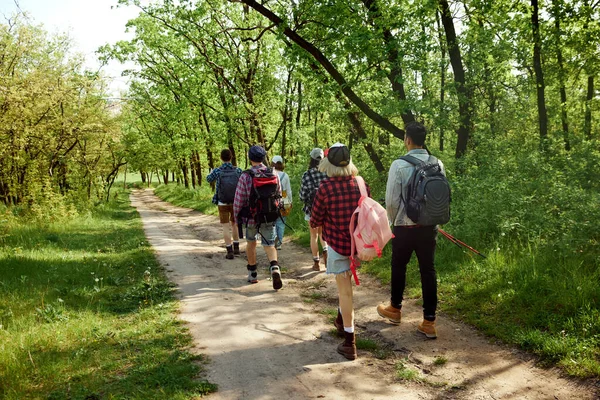 活泼的年轻人 朋友们在温暖的春天去森林里远足 走在小径上 欣赏风景 后视镜积极生活方式 运动和业余爱好 友谊的概念 — 图库照片