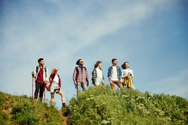 一群朋友在温暖 阳光灿烂 夏日的草地上散步 年轻人站在山上 享受大自然的美景 积极生活方式 运动和业余爱好 友谊的概念 — 图库照片