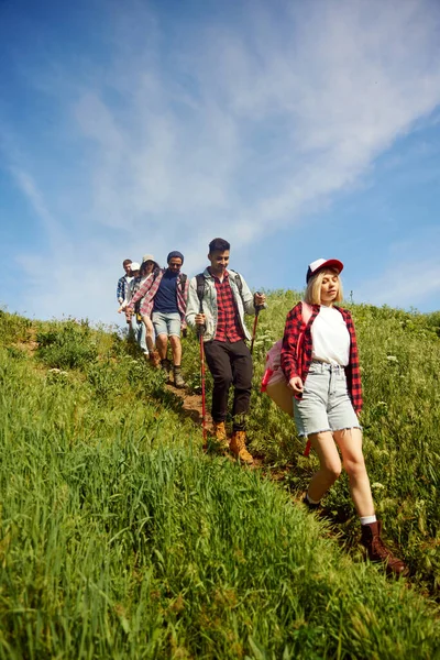 Skupina Přátel Mladých Lidí Kráčejících Horské Stezce Procházejících Louce Poli — Stock fotografie