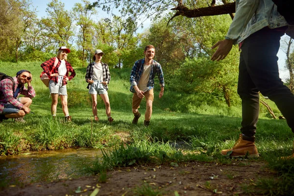 Divirtiéndose Grupo Amigos Jóvenes Activos Haciendo Senderismo Caminando Por Bosque — Foto de Stock