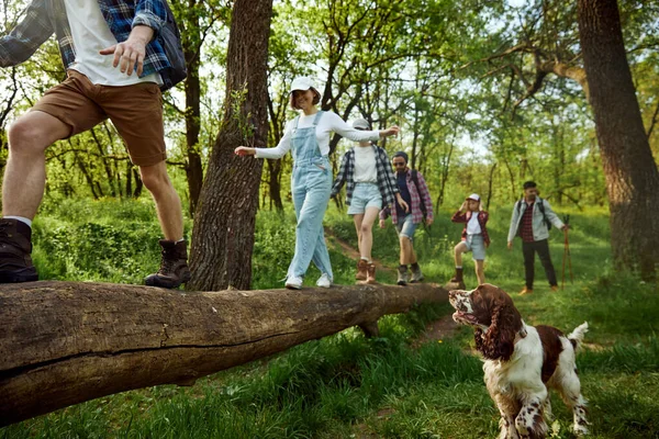 Grupo Jóvenes Amigos Caminando Bosque Haciendo Senderismo Cálido Día Soleado —  Fotos de Stock
