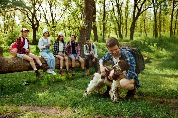 年轻人在玩狗 一群年轻人 朋友们在森林里休息 在温暖的阳光灿烂的日子里远足 坐在倒下的大树上 积极的生活方式 体育和业余爱好 友谊概念 — 图库照片