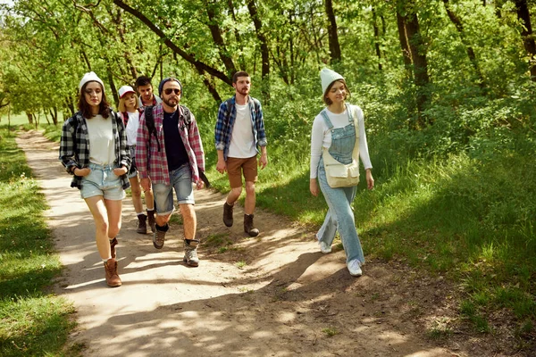 若者のグループは スタイリッシュな快適な服の友人は 暖かい晴れた日にハイキングに行く森の道を歩く アクティブなライフスタイル スポーツ 友情の概念 — ストック写真