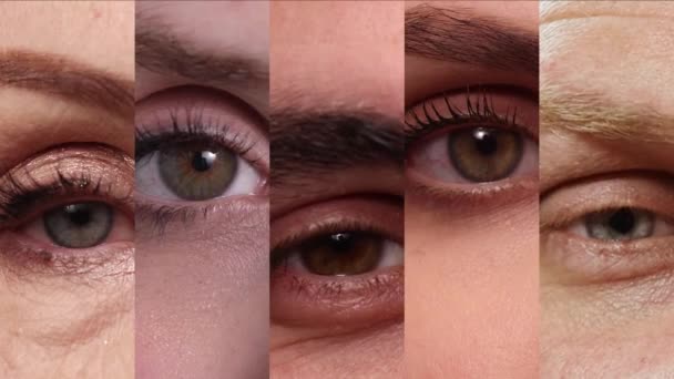 Collage Vidéo Composé Images Rapprochées Différents Yeux Personnes Clignotant Vision — Video
