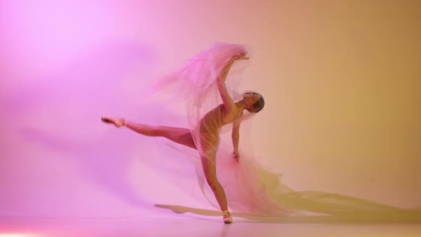 Tender Graceful Young Ballerina Bodysuit Performing Dancing Transparent Veil Gradient — Stock Video